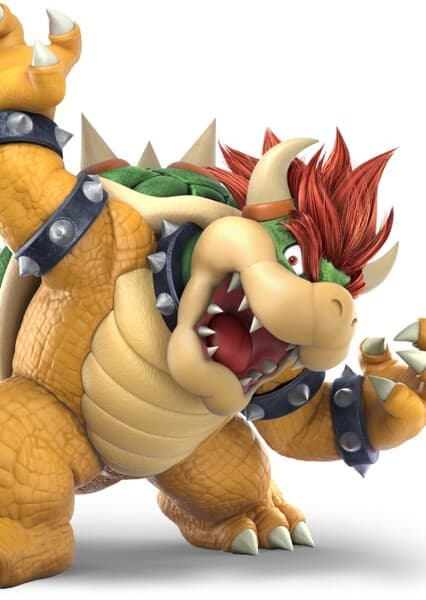 King Bowser Koopa Sr.