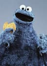 Cookie Monster