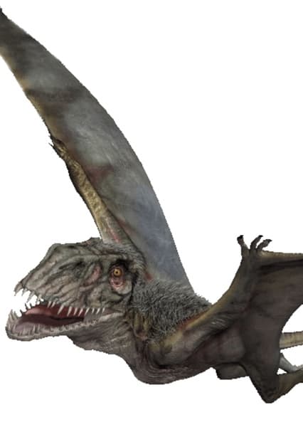 Dimorphodon
