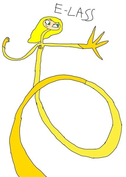 E-Lass