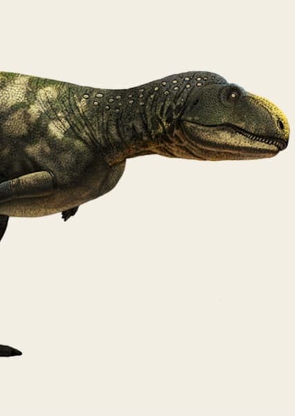 Eoabelisaurus