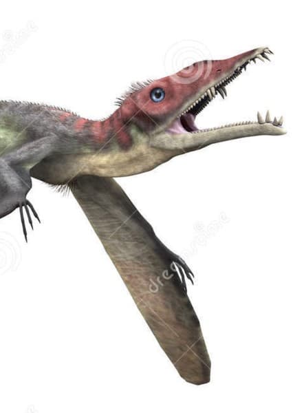 Eudimorphodon