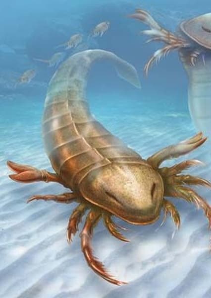 Eurypterids