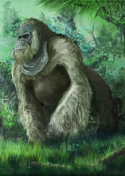 Gigantopithecus