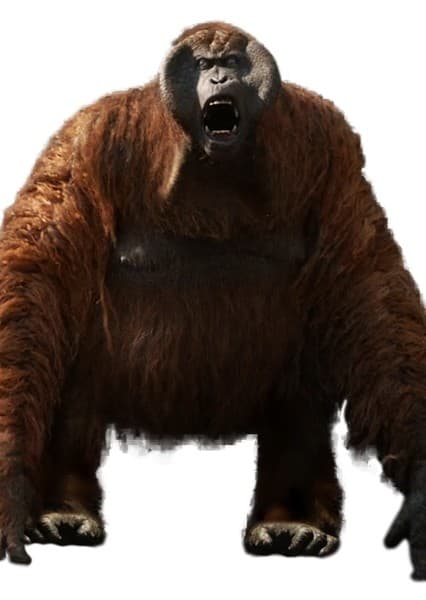 Gigantopithecus
