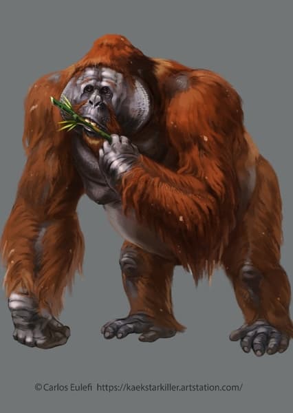 Gigantopithecus