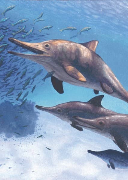 Ichthyosaurus