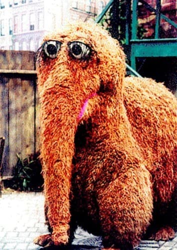 Mr. Snuffleupagus