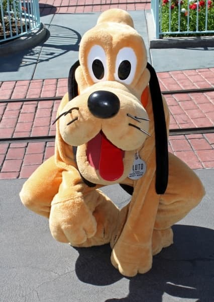 Pluto