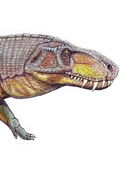 Prestosuchus