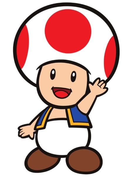 Toad
