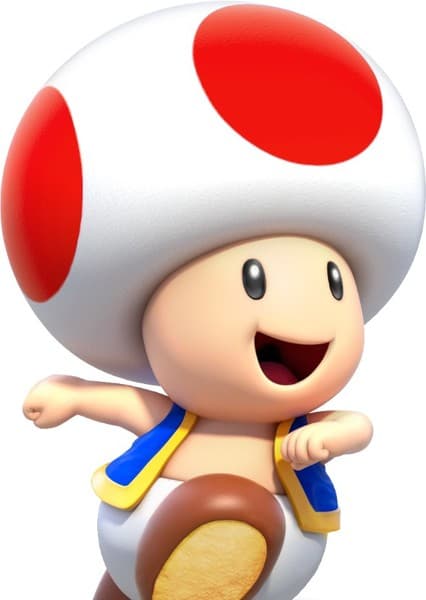 Toad