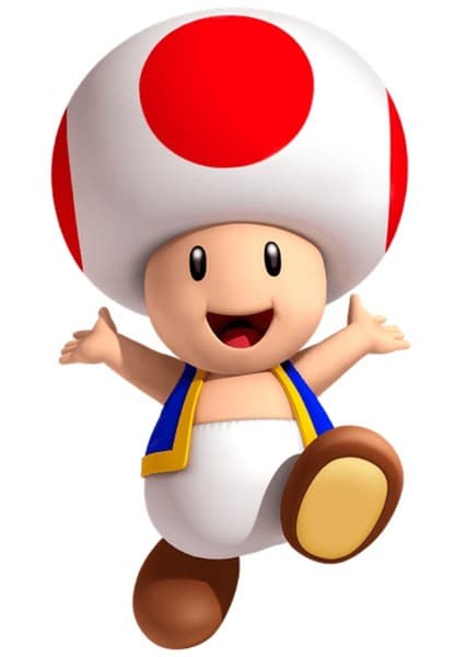 Toad