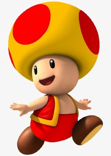 Toad