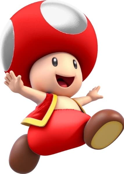 Toad
