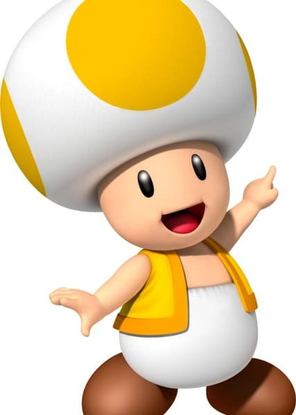Toad