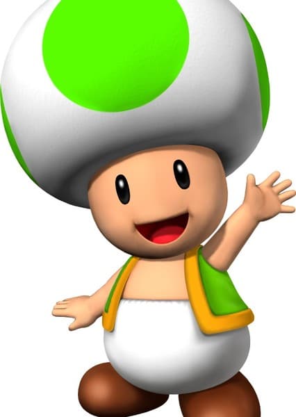 Toad