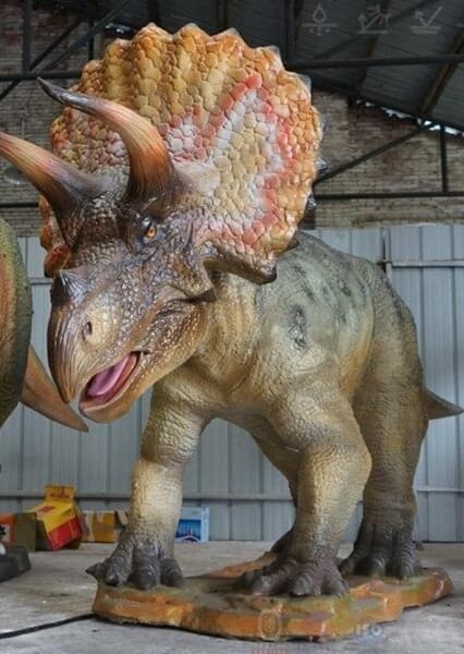 Triceratops