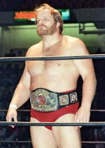 Ole Anderson