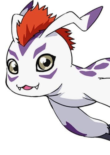 Gomamon