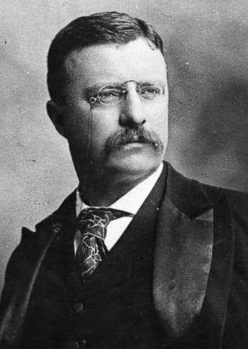 Theodore Roosevelt