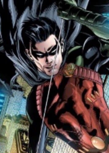 Robin/ Nightwing