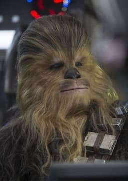 Chewbacca