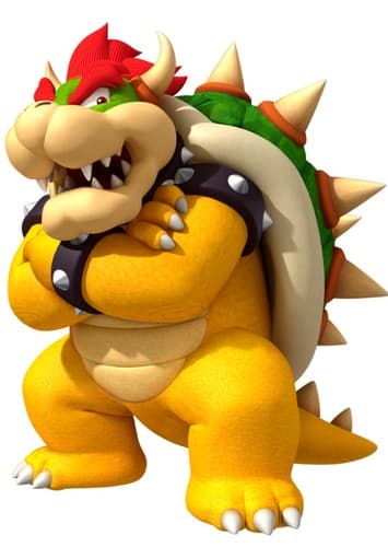 King Bowser Koopa