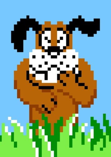 Duck Hunt Dog