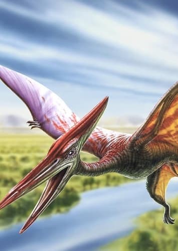 Pteranodon