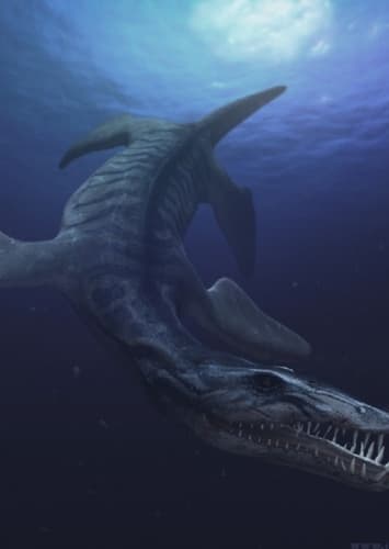 Liopleurodon