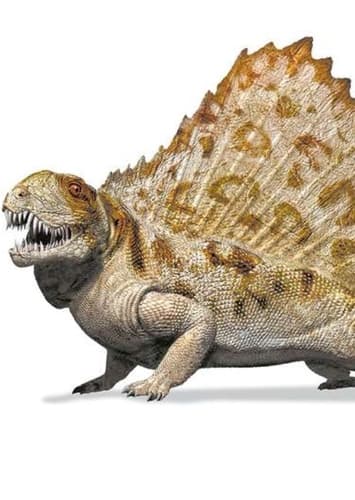 Dimetrodon