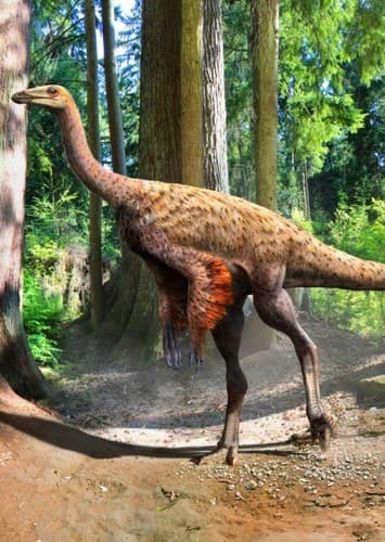 Ornithomimus