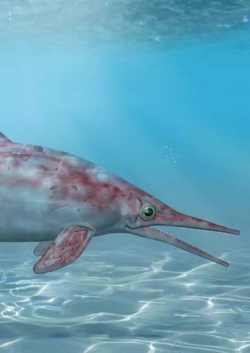 Ichthyosaurus