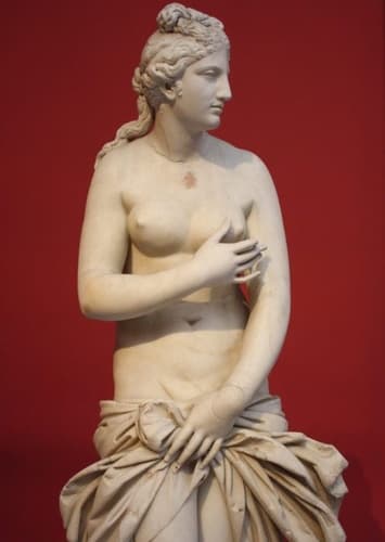 Venus