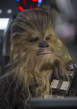 Chewbacca