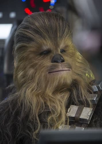 Chewbacca