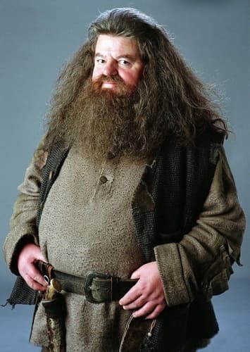 Rubeus Hagrid