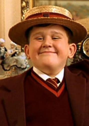 Dudley Dursley