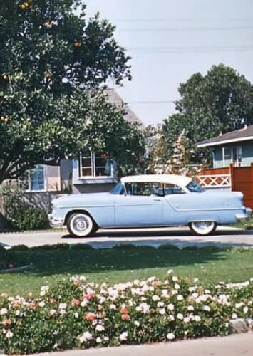 50s Suburbia