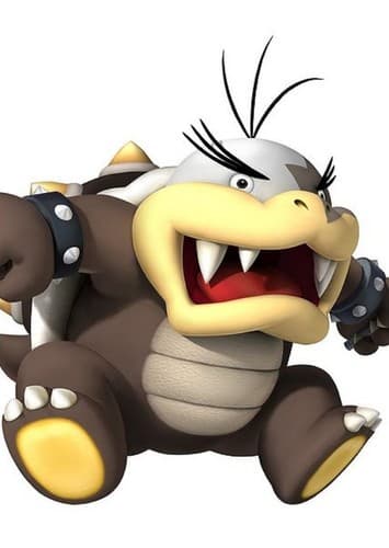 Morton Koopa Jr