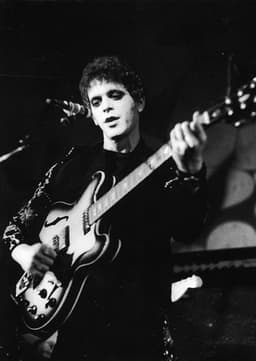 Lou Reed (young)
