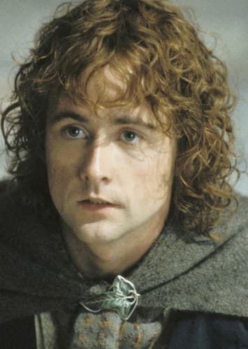 Peregrin Took