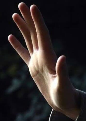 A Revanche - Parte 1