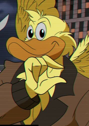 Ace duck