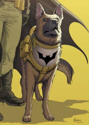 Ace the Bat-hound