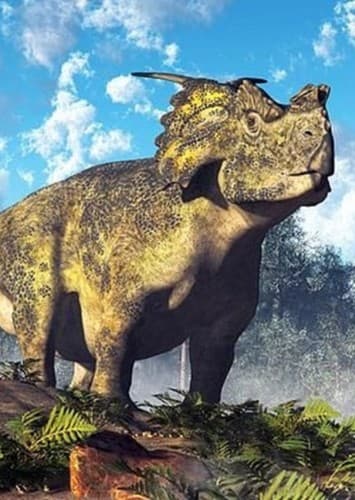 Achelousaurus