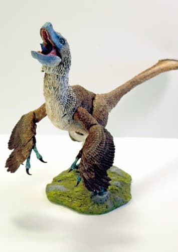Acheroraptor