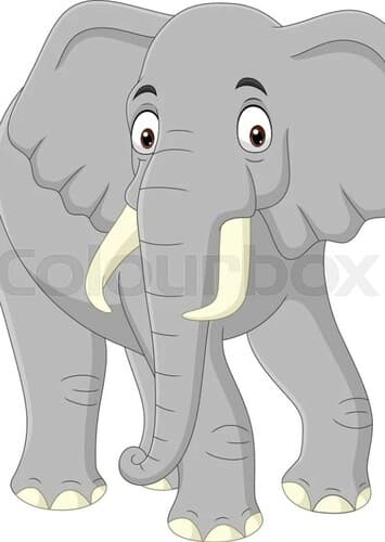 African Elephant