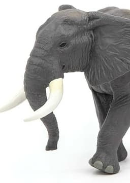 African Elephant